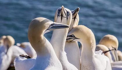 开云体育：云端之力点亮每一次运动的热情