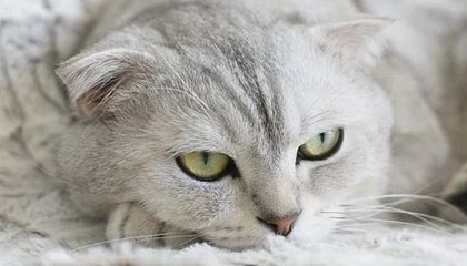 赵嘉仁训练视频日常片段： 接球出手细节，接球余光观察